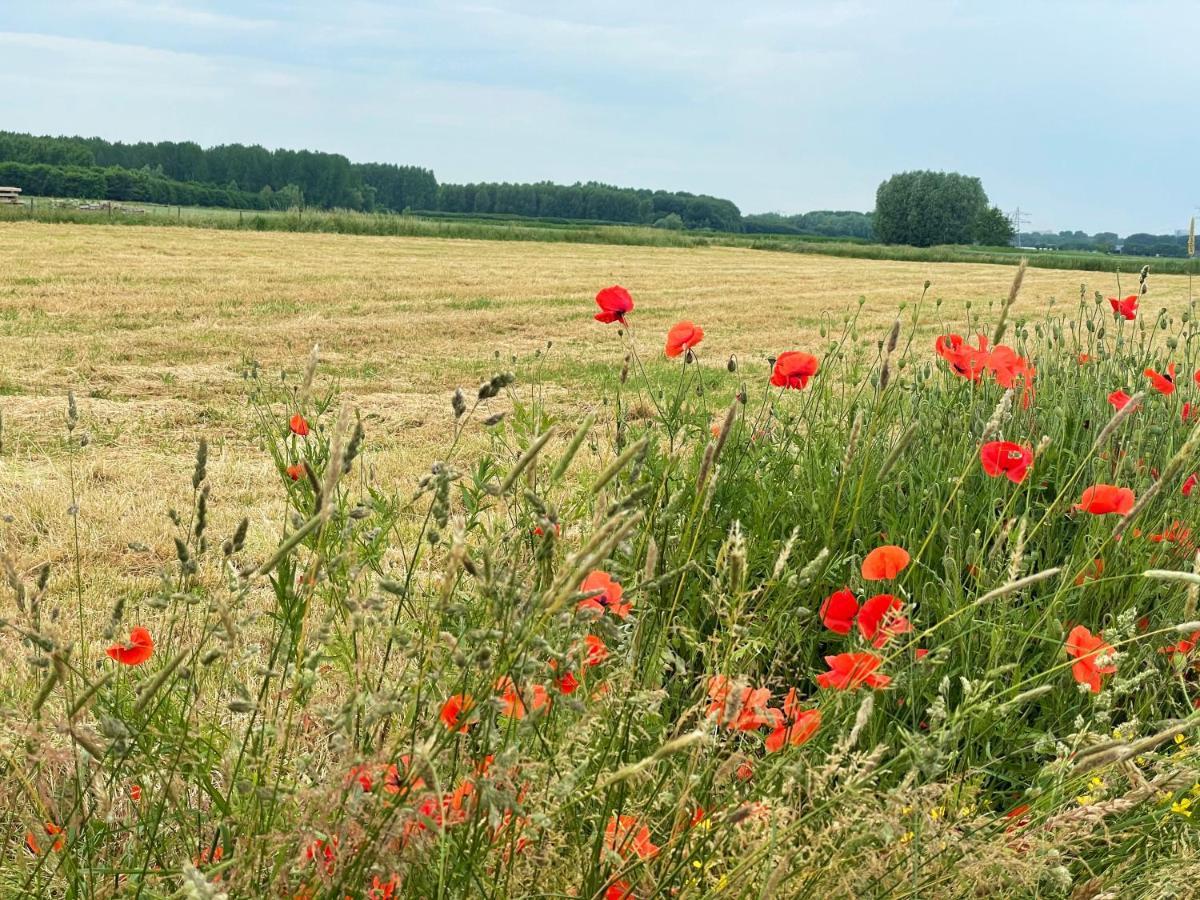 Camping De Vliert Bunnik Bagian luar foto